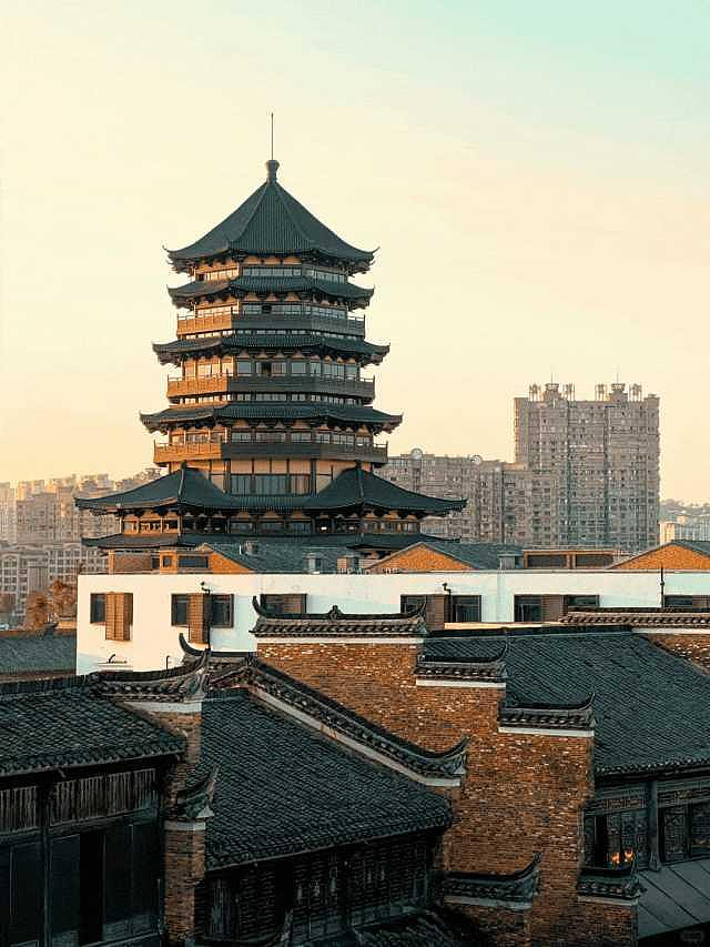 金螳螂丨生长的建筑城市更新语境下的高质量城长