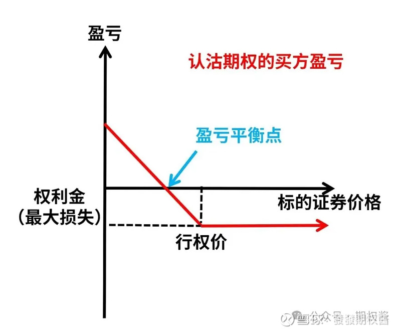 买入看跌期权图图片