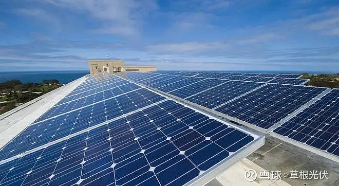 卷死同行不死不休光伏洗牌刺刀见红