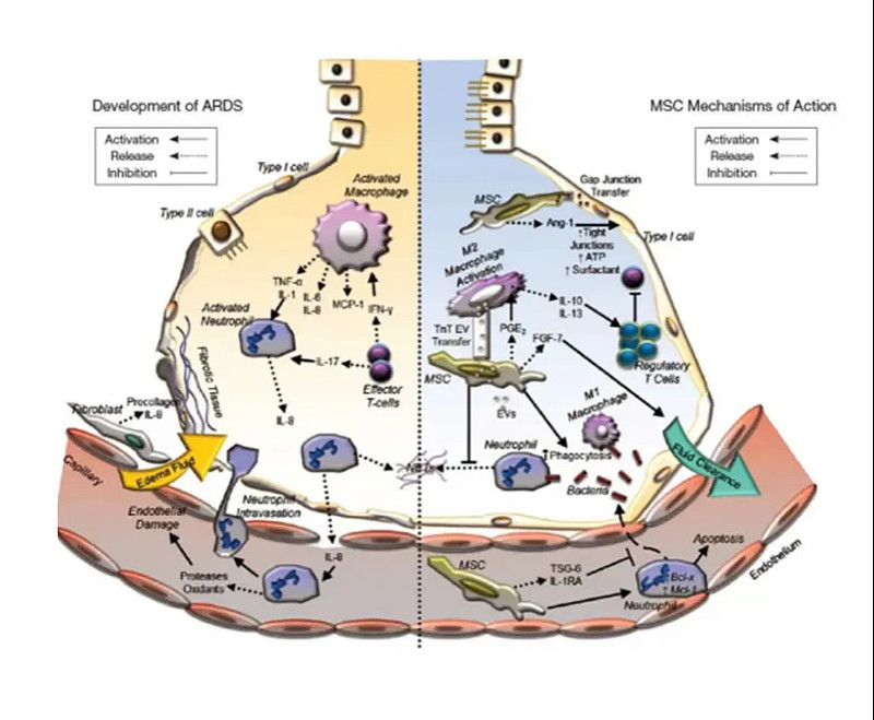 扬帆启航,蓄力前行丨易文赛生物公司干细胞药物完成首例受试者入组! 2