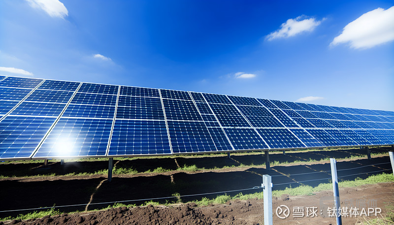 欧盟针对我国光伏展开反补贴调查,事涉隆基绿能,上海电气 图片系ai生