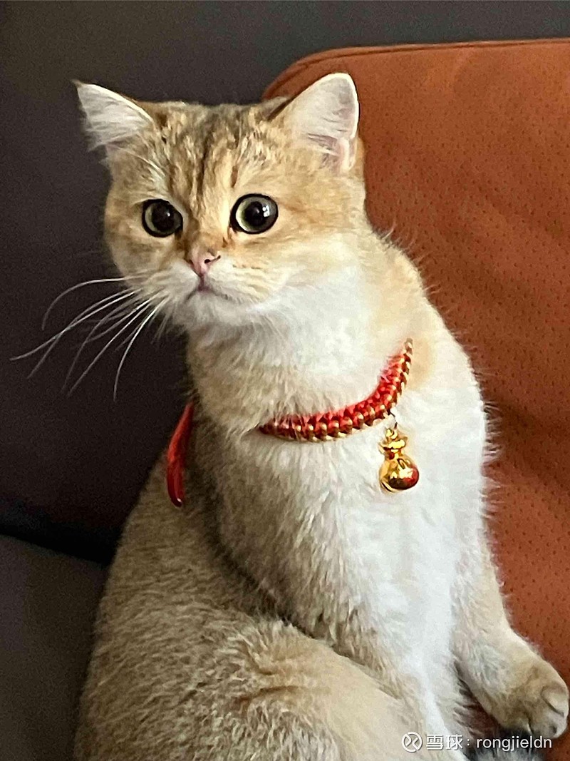 $泸州老窖(sz000568)$ $腾讯控股(00700)$ 又有搬砖的空间了? - 雪球