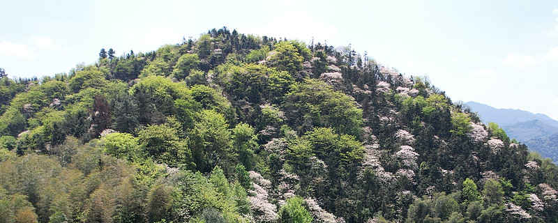 今日面王榜第59届顽主杯