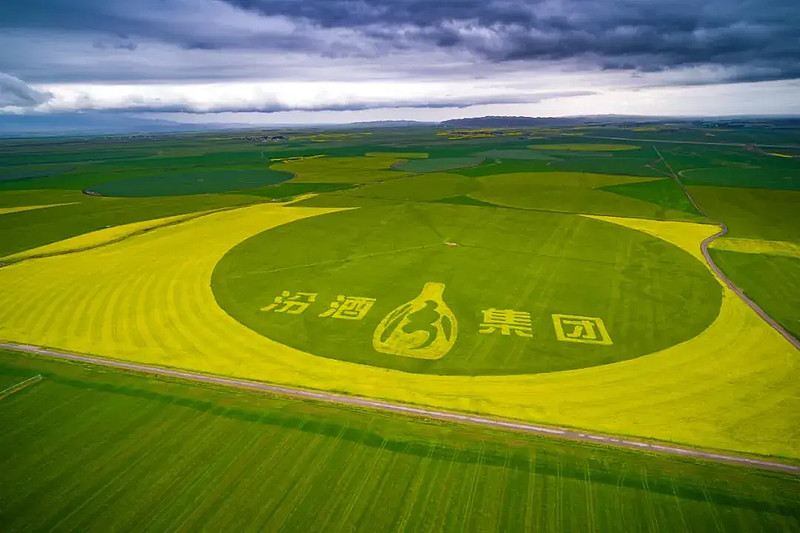 筑就品质护城河,汾酒再添原粮种植场基地