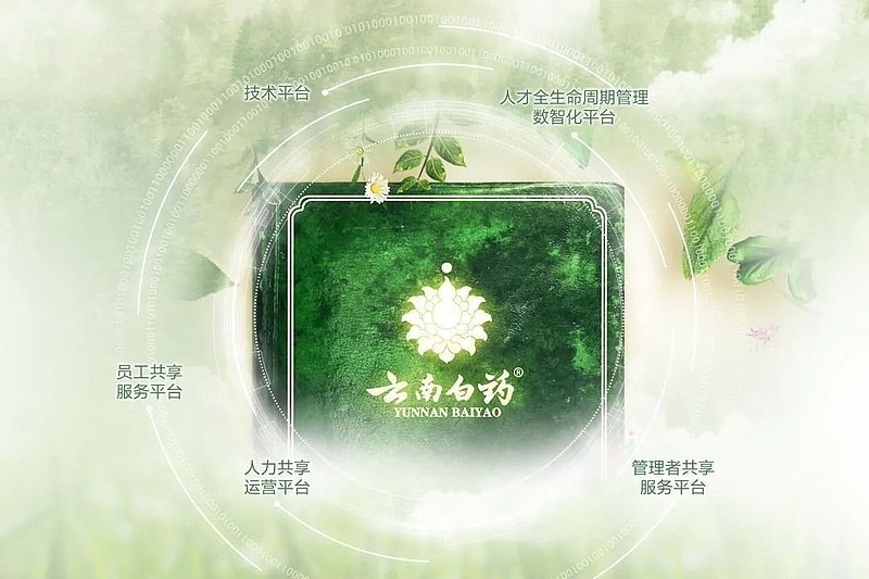 云南白药：百年白药，仍是少年 云南白药 与 用友 合作多年，双方通过用友BIP 人力云进行人力资源数智化转型的落地建设，建立了云南白药统一的 ...