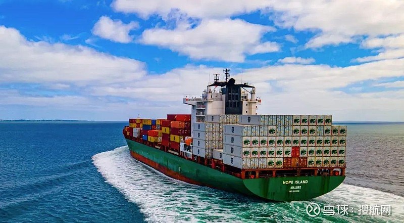 集装箱船,其中msc gina轮和msc grace f轮由船公司地中海航运msc管理