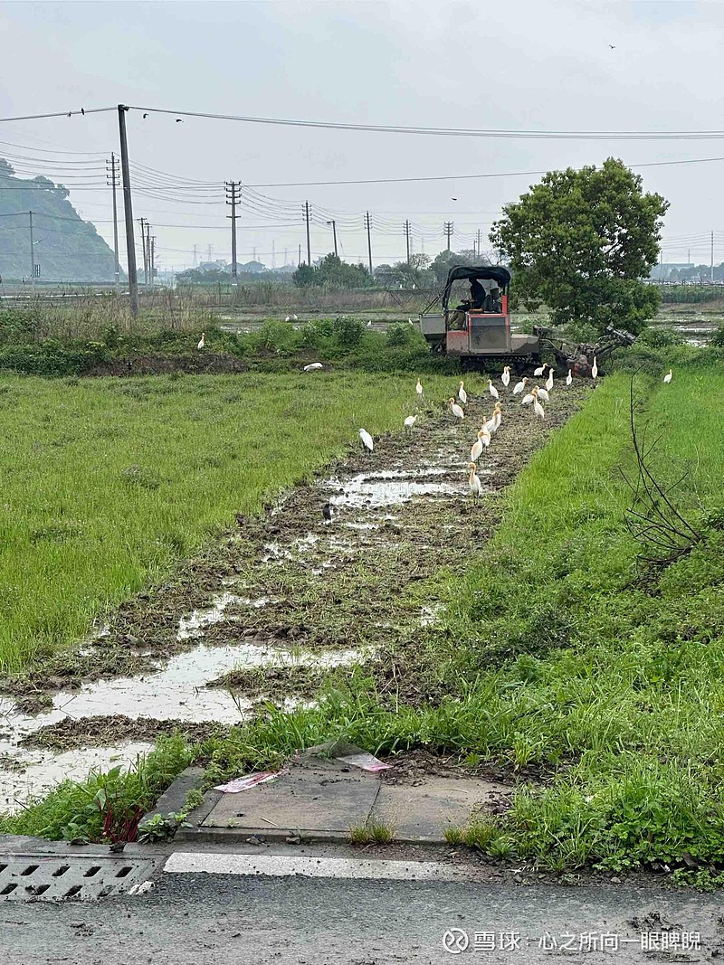 $富时a50指数主连(cnmain)$明天凉凉 - 雪球