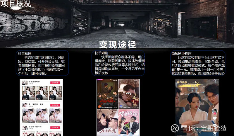 2024年微短剧项目创业BP商业计划书,一猹就有!附爆款短剧创作全流程 2024年春节期间,一批短剧新势力崭露头角。新势力包括初创公司、大厂 ...