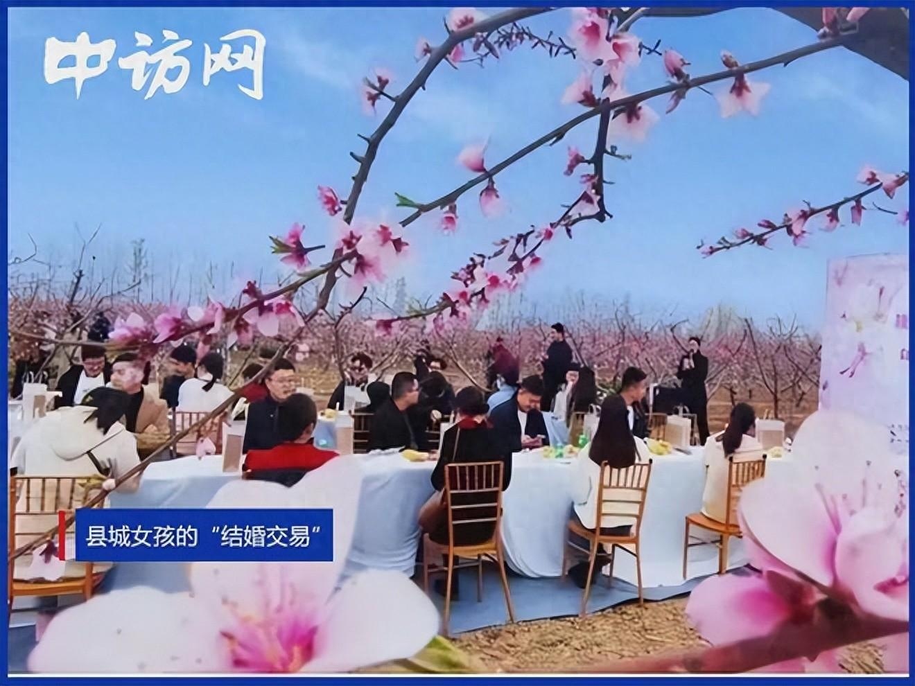 调查权 朝野 议案