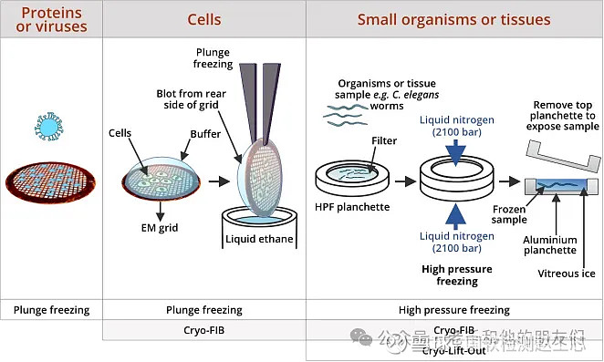 TEM专题 | 冷冻电镜断层成像（Cryo-ET）技术解读 半导体工程师 2024-04-24 07:03 马来西亚在材料领域，透射电镜 ...