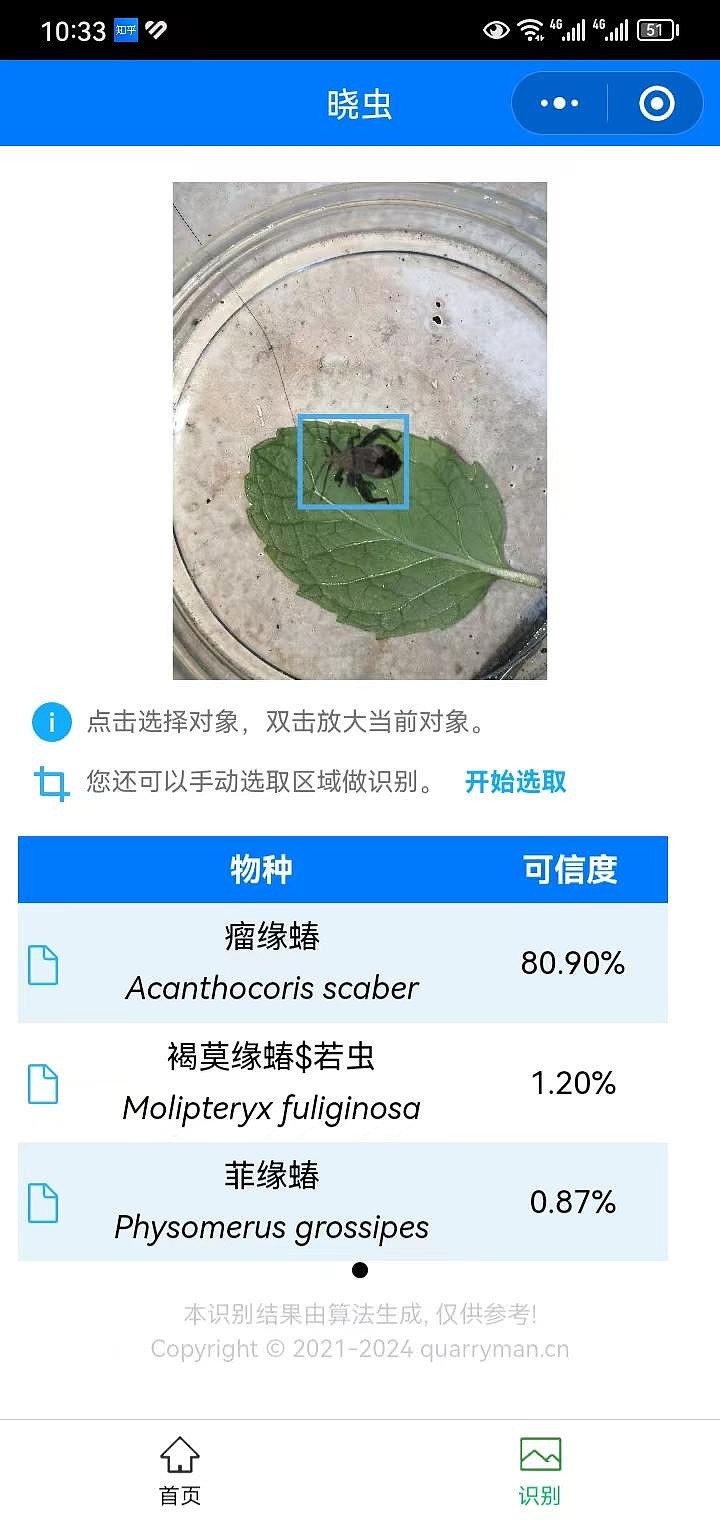 关于昆虫和植物识别,推荐一个小程序——晓虫