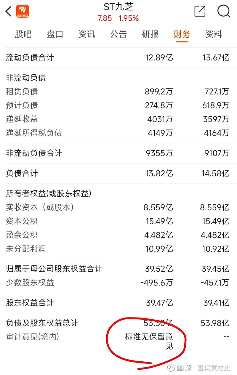st板块百年未有之大变局九芝堂