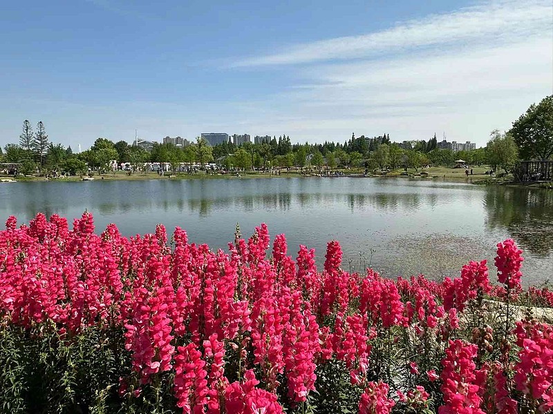 游上海植物园