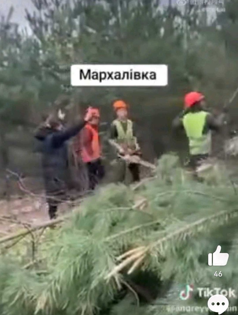 【乌克兰人才发现他们的土地和森
