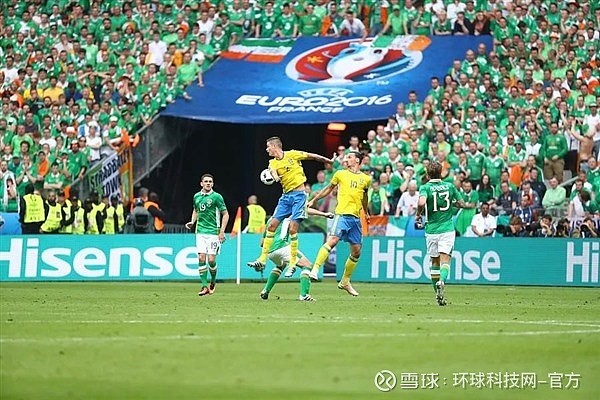 海信在2014年成立法国公司,2016年海信作为在法国举办的欧洲杯赞助商