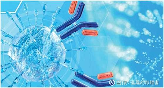 细胞免疫新突破:糖尿病治疗新纪元,股市热点再起
