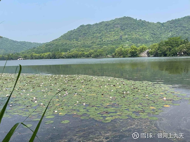初夏。<br/>杭州湘湖非常适