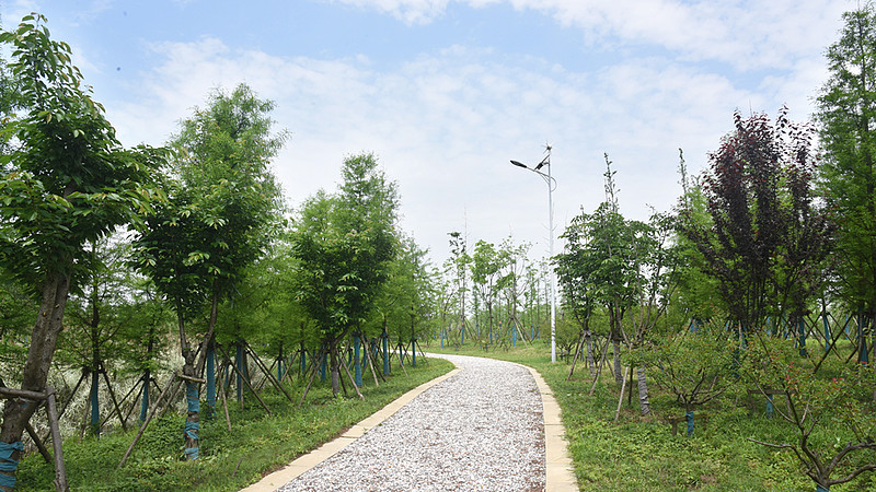 千岭乡竹墩村围绕"打造山清水秀,天蓝地绿,村美人和,宜居宜业宜游美丽