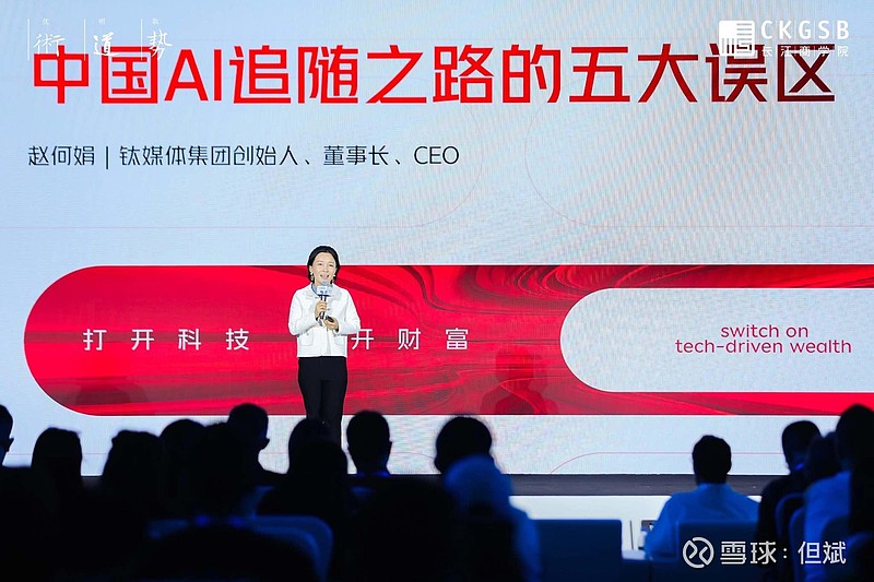 《赵何娟：中国AI追随之路的五