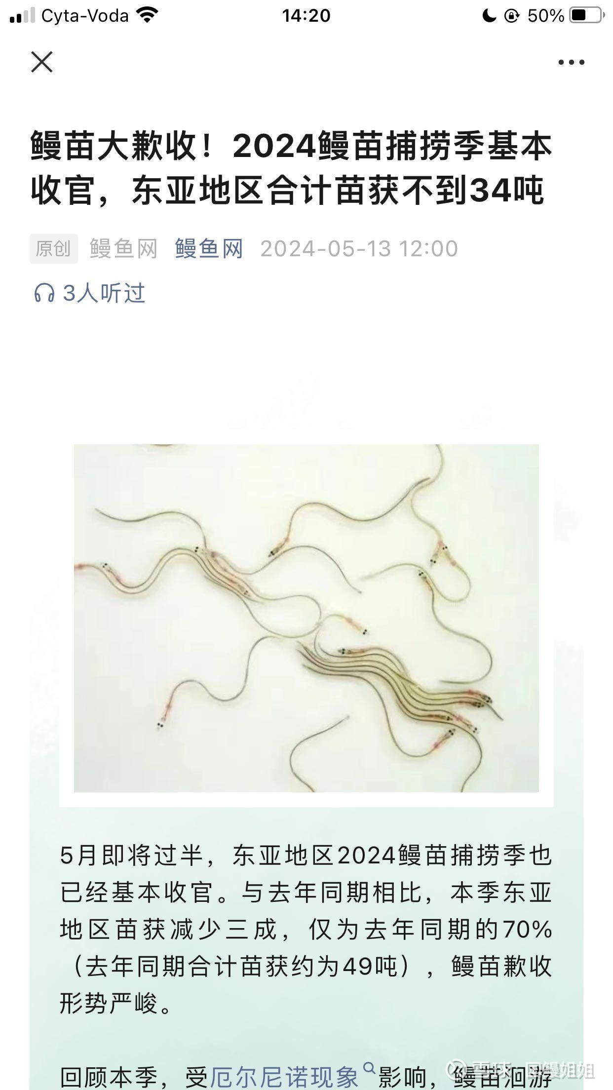 鳗鱼苗捕捞量下滑,天马科技产量逆势上扬:市场前景分析