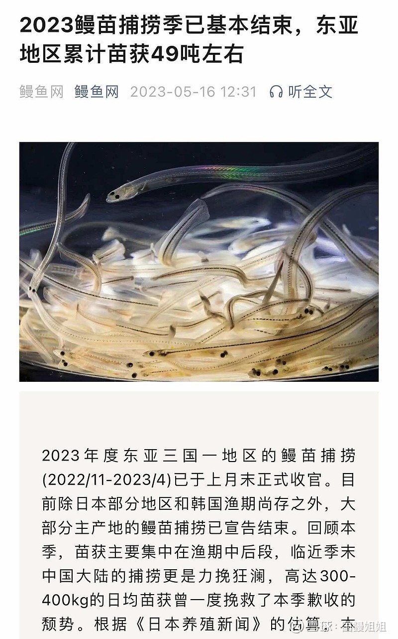2020年～2024年日本鳗鱼