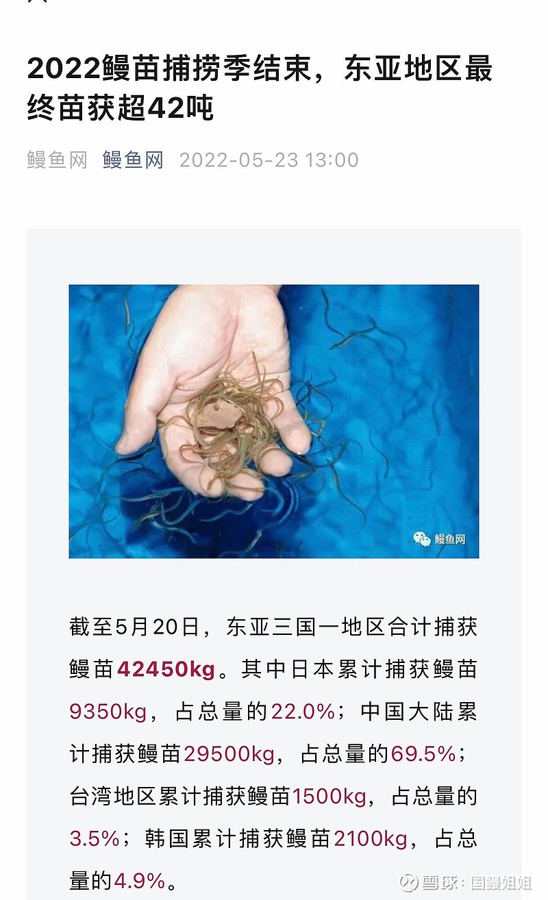 2024年日本鳗鱼苗捕捞创最近五年新低, 