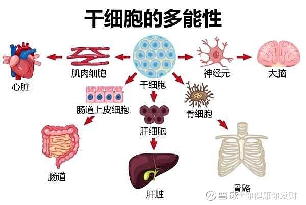 对公司有利?能增加销量?…龟龄集有效果,但不是不可替代.