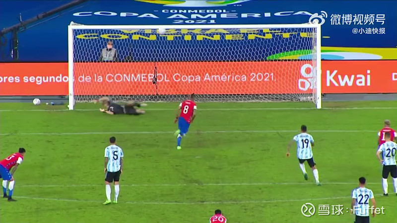 相约#2024美洲杯#!