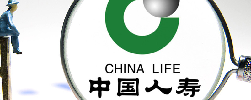 中国人寿app最新版下载(中国人寿app最新版下载安装实验小学)