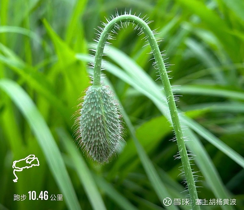 「你可能登上月球,你可能走得更远,登上金星,火星,登上所有的星球,但