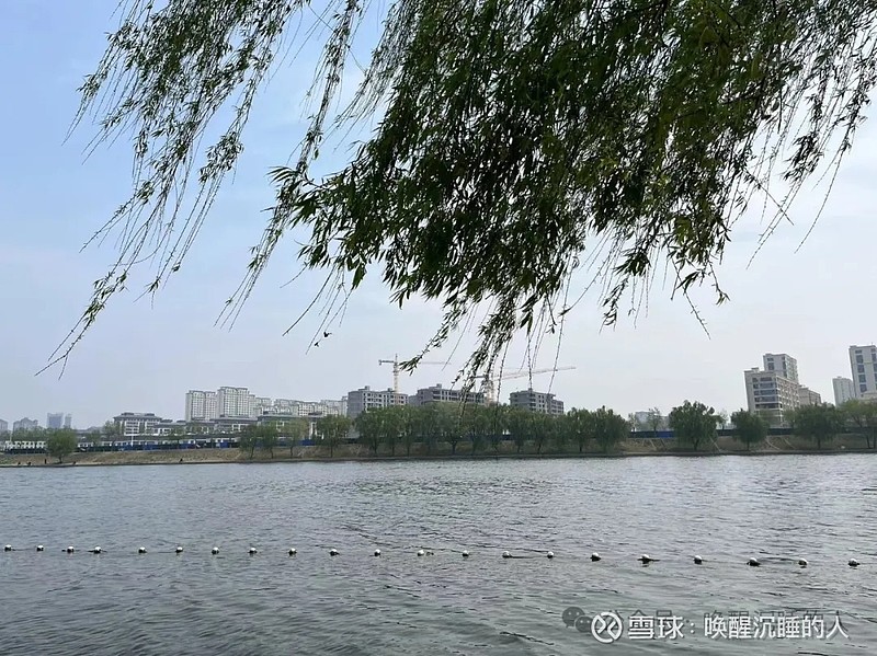 证监会:行政处罚,市场禁入决定书(张志勇)(利用内幕信息通过大宗交易