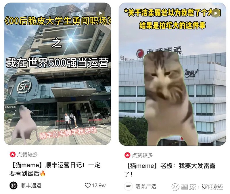一周涨粉10万,猫meme怎么就火了? 古希腊掌管“流量”的神,最近轮到了猫meme。 meme,是“模因”的意思,也可以简单地理解为“梗 ...