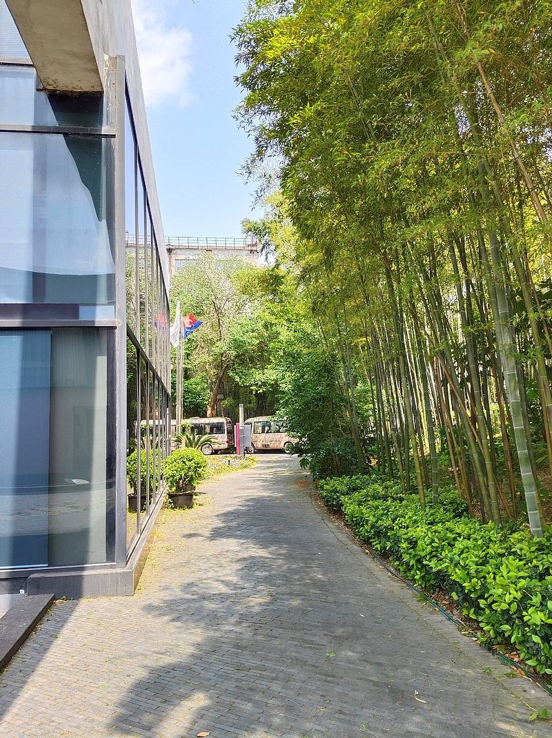 6000mah电池去除续航焦虑!vivo y200深度体验