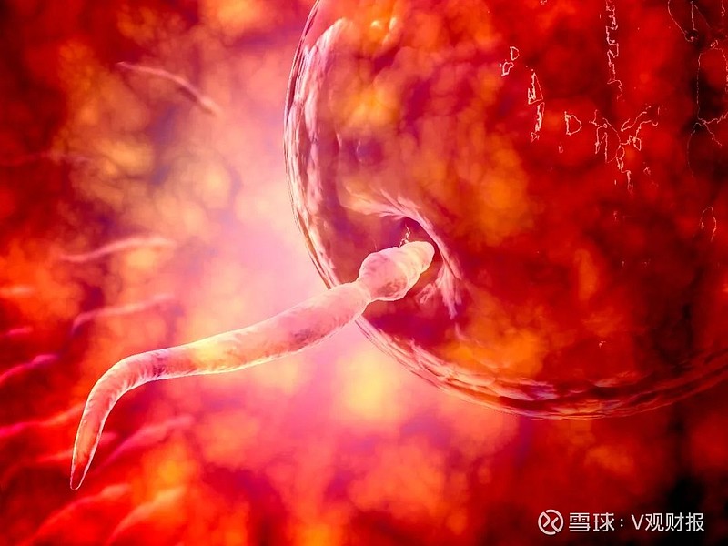 锦欣生殖冻卵业务激增,市值却从670亿掉到87亿,"造娃第一股"被困在
