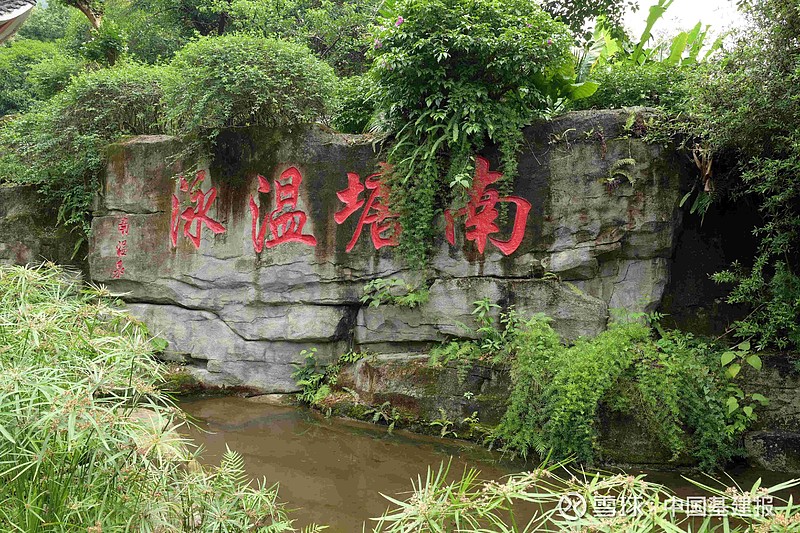 重庆巴南区南温泉公园夏日美景如画