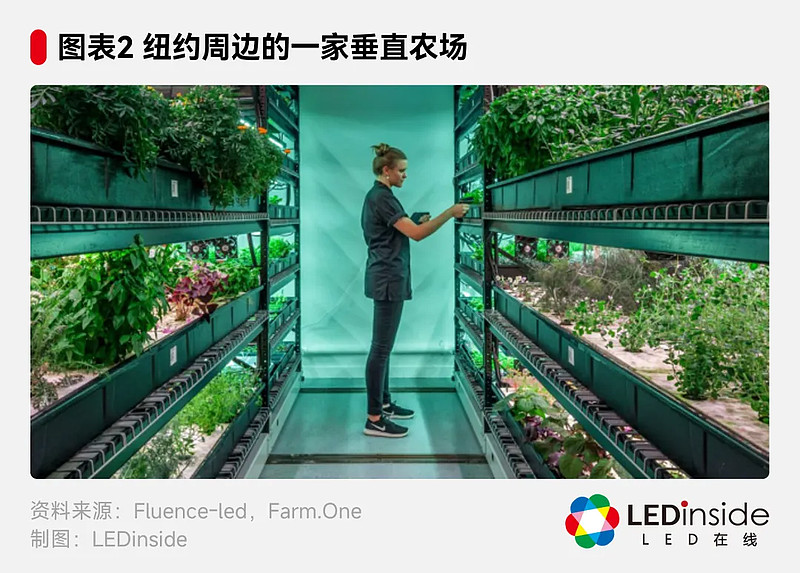 专访安费诺亮泰:浅谈植物照明&农业科技前沿趋势 安费诺 亮泰提供连接器应用于船舶电子、工业自动化与机器视觉、植物照明、LED 照明与显示屏 ...