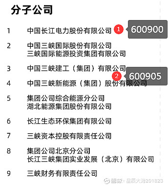 中国长江三峡集团有限公司组织架构及未来布局