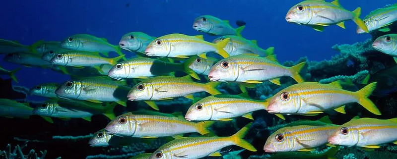 情绪宣泄一触即发,跌跌不休惹人愁