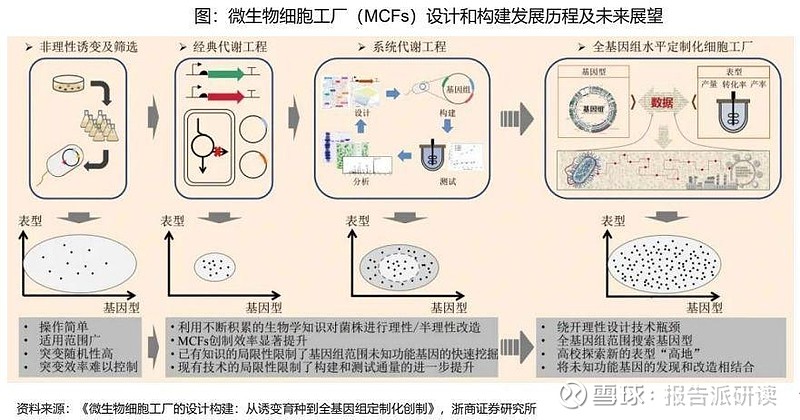API原料药：行业动态与未来展望