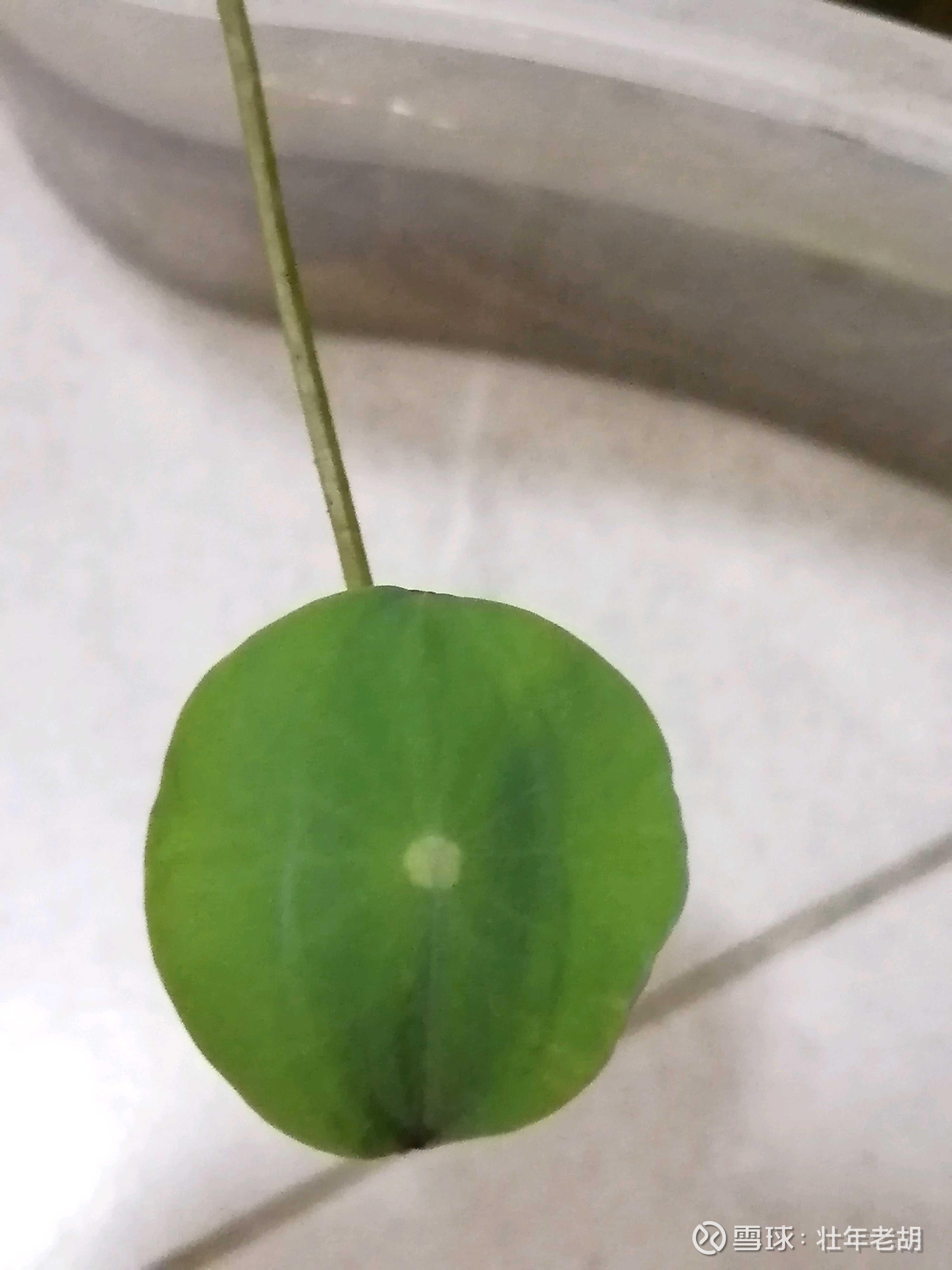 内循环中国每年对美贸易顺差超过3000亿美元，贸易矛盾是不可调和的，没有余地。随着汽车、大飞机、芯片等产业升级，与欧盟的贸易平...