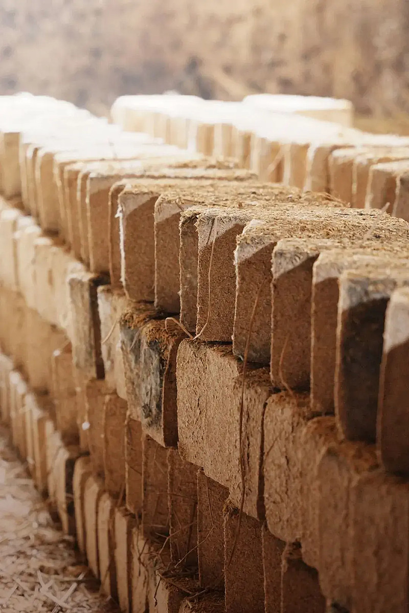 在古井原粮丰收节,回溯一滴酒的生命本源