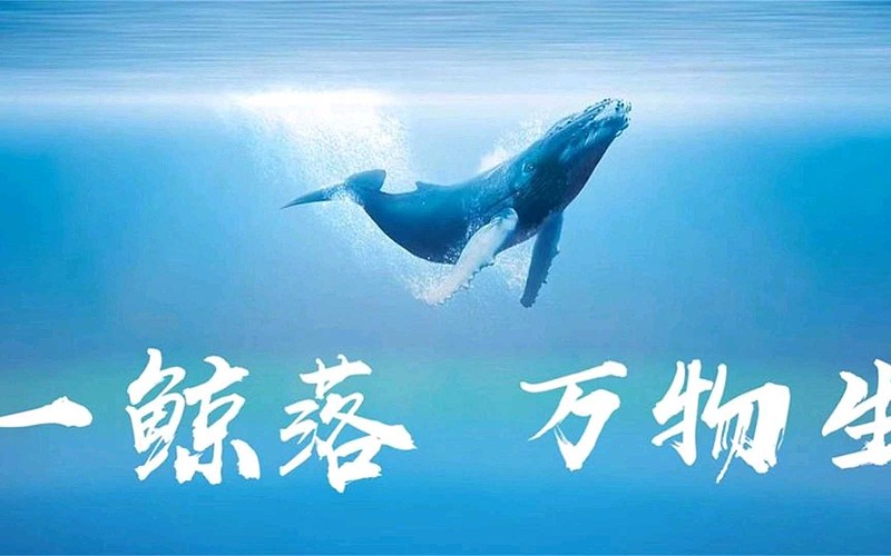 一鲸落,万物生?