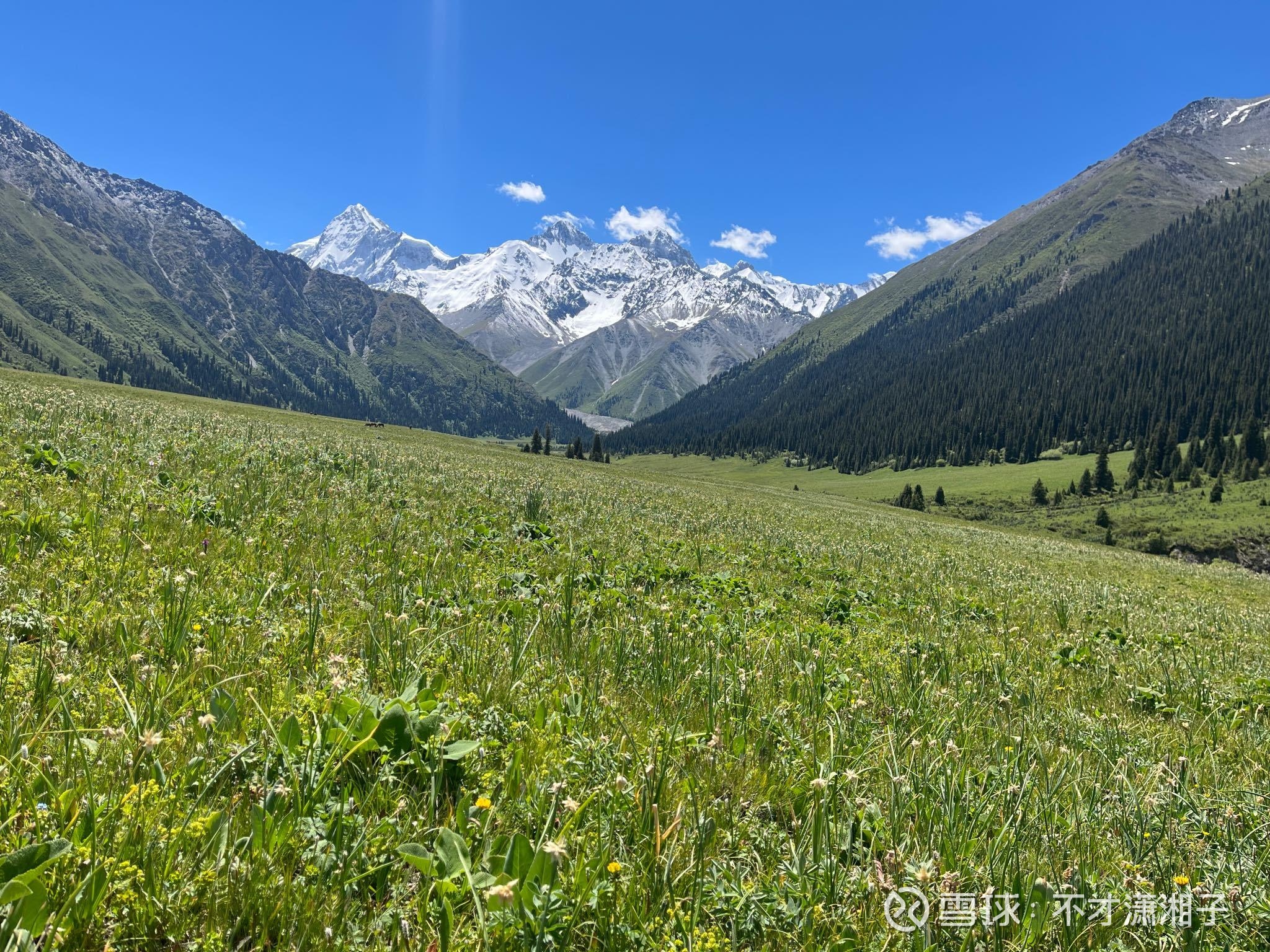 夏塔古道国家森林公园徒步,今年走到鲜花台,就有管理人员在那里守着,不让游客继续前往冰川脚下,有点可惜。小朋友脚力还不错,... - 雪球