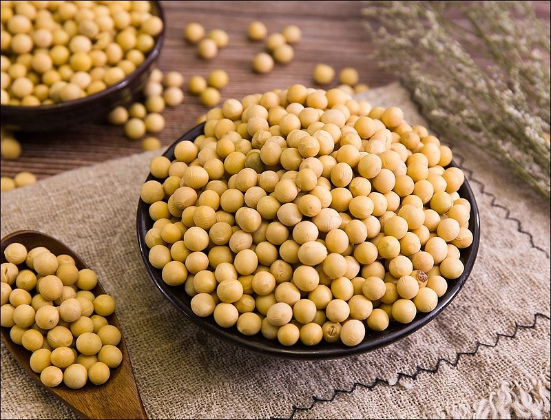 美豆天气支撑不足，油厂挺粕乏力，豆粕ETF震荡调整 2024.6.17 大豆及豆粕市场分析【豆类基本面】受累于周末前的头寸调整和获利回吐，周五