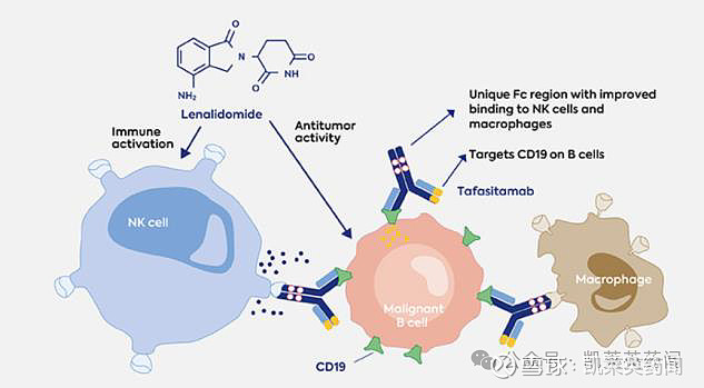 治疗复发/难治DLBCL的潜在最佳疗法！诺诚健华CD19单抗坦昔妥单抗在国内申报上市 欢迎关注 凯莱英 药闻近日， 诺诚健华 ...