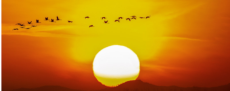 极致控运与得分爆发力结合哈登经典比赛瞬间回顾令人窒息的进攻艺术