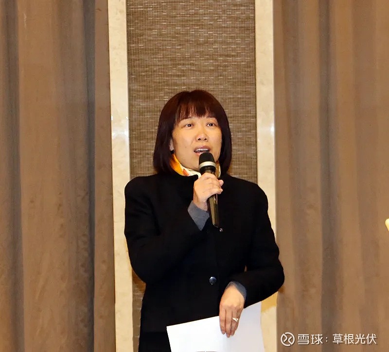 4,南玻a董事长:陈琳罗燚,1984年出生,浙江慈溪人,拥有中国香港永