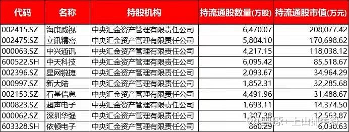 中央汇金持有的科技股名单出炉高盛与摩根也重仓可以抄作业吗