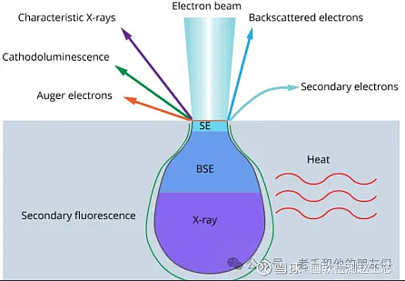 扫描电镜（SEM）技术解读 半导体工程师 2024年07月07日 08:24 北京扫描电镜（SEM）是利用电子束扫描样品表面，产生二次电子等 ...