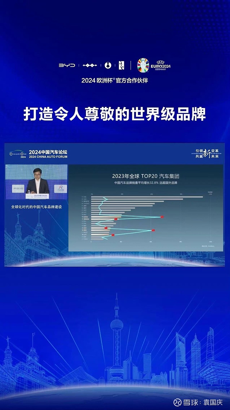 2024年上半年，中国新能源汽